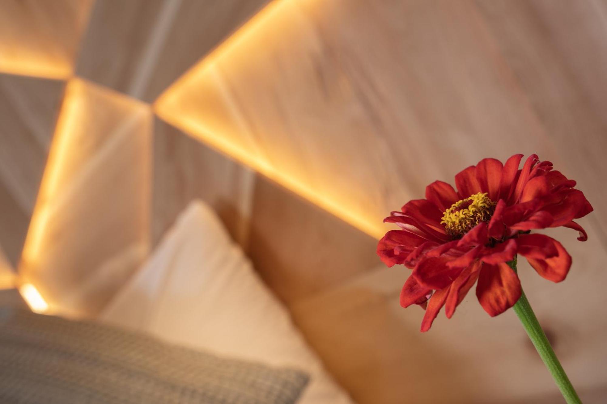 Alpine Residence Villa Adler San Vigilio Di Marebbe Ngoại thất bức ảnh